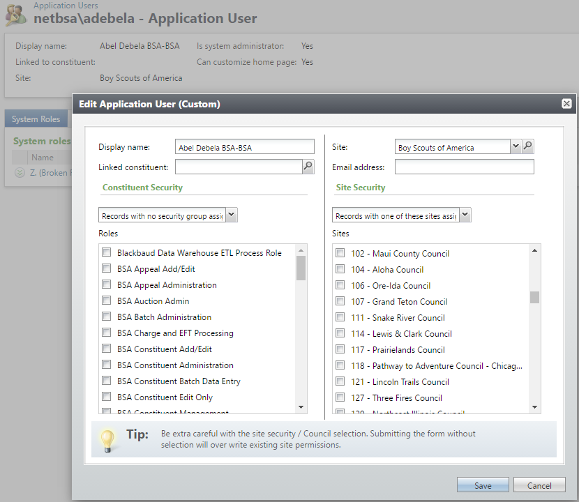 BBCRM Custom Application User Role